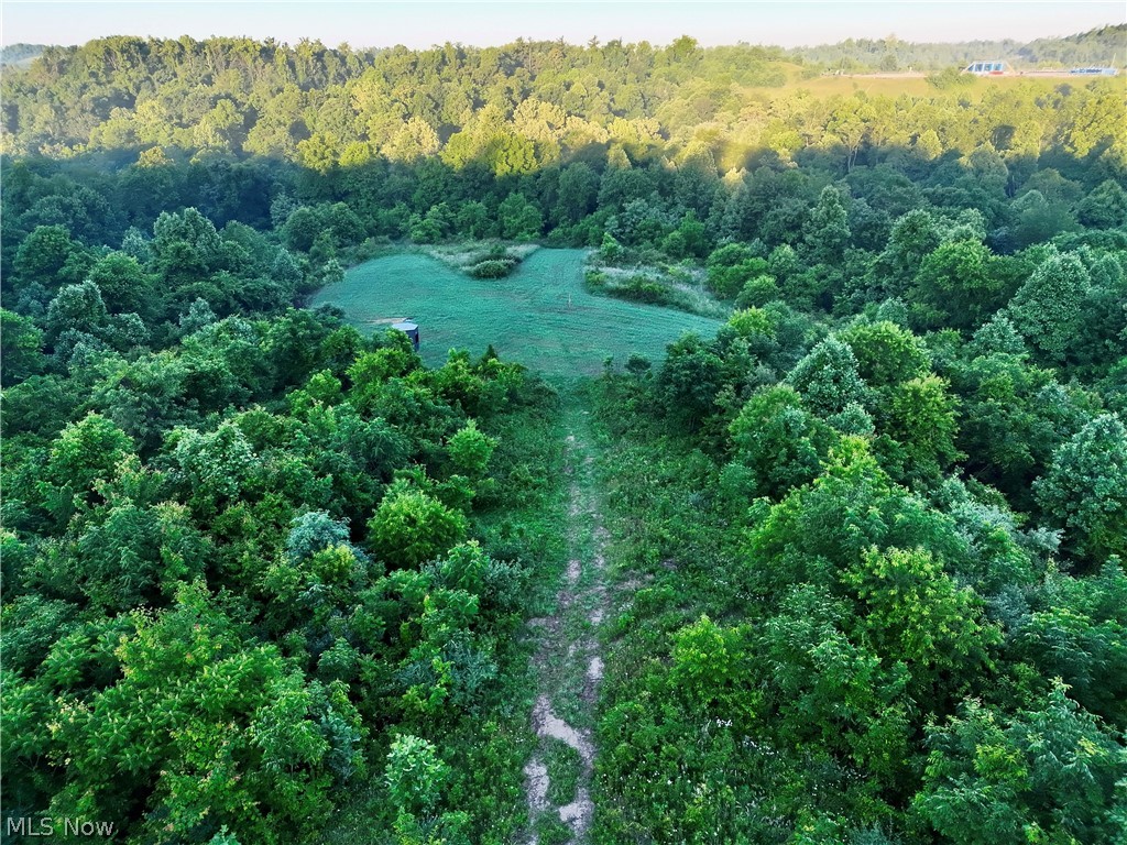 Sykes Ridge Road Clarington, OH 43915 - Photo 13 of 42