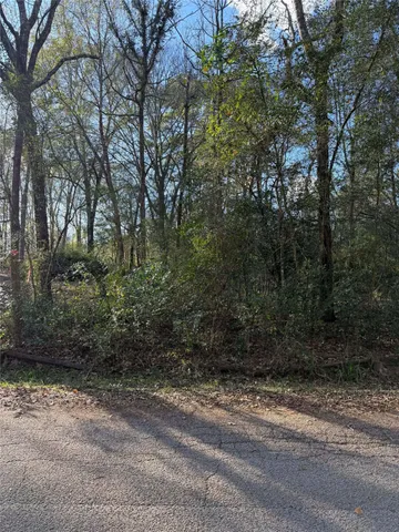 a view of a yard with plants and trees
