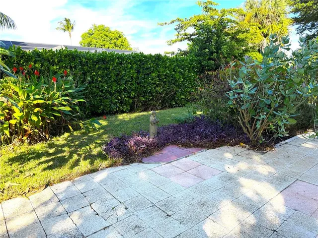 a view of a backyard with plants