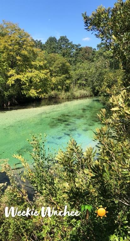 4544 Cynthia Lane Spring Hill, FL 34606 - Photo 34 of 35 a view of an outdoor space and a yard