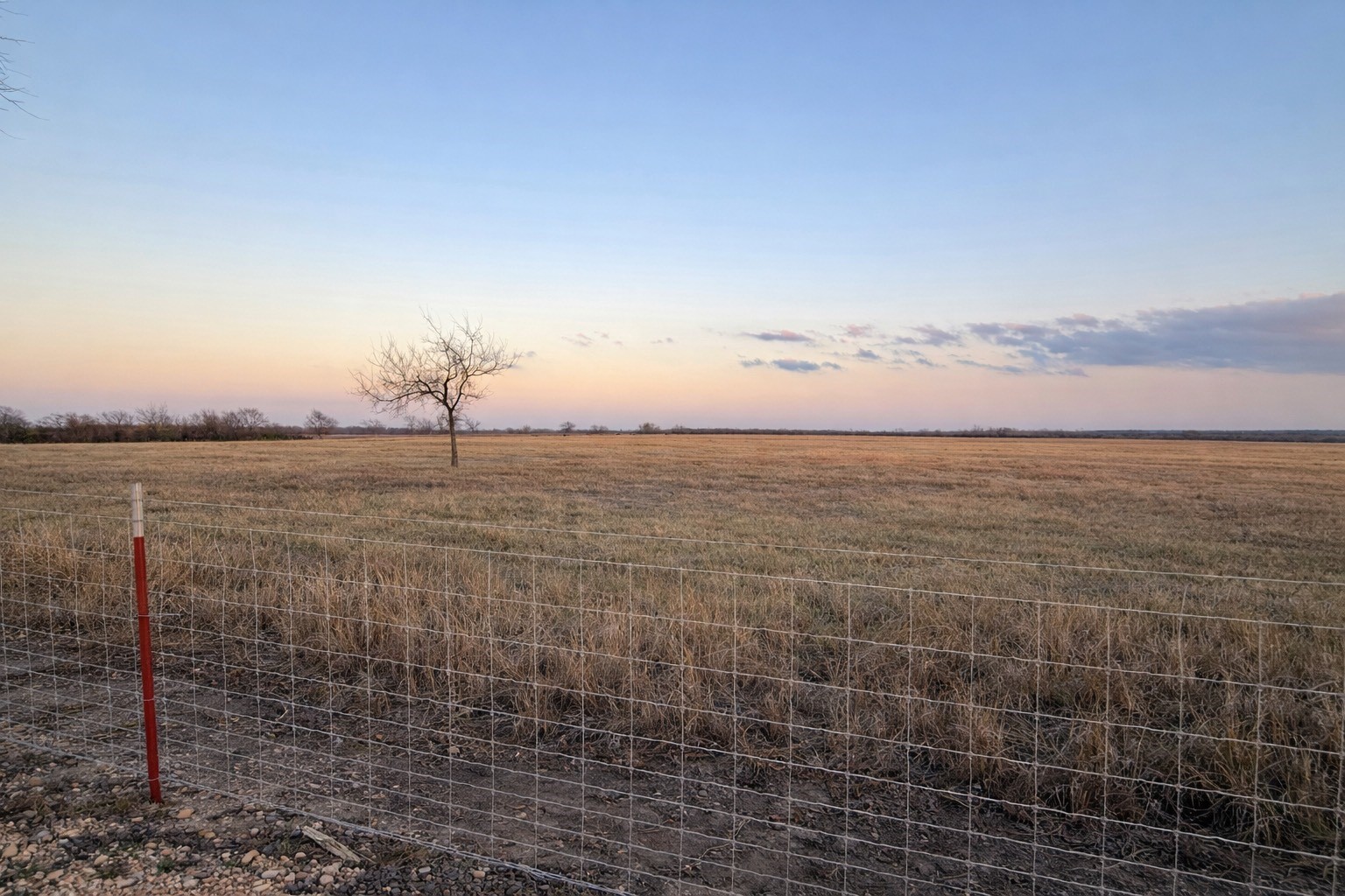 116 County Road 116 Rogers, TX 76569 - Photo 2 of 5 Pasture at dusk with a rural view