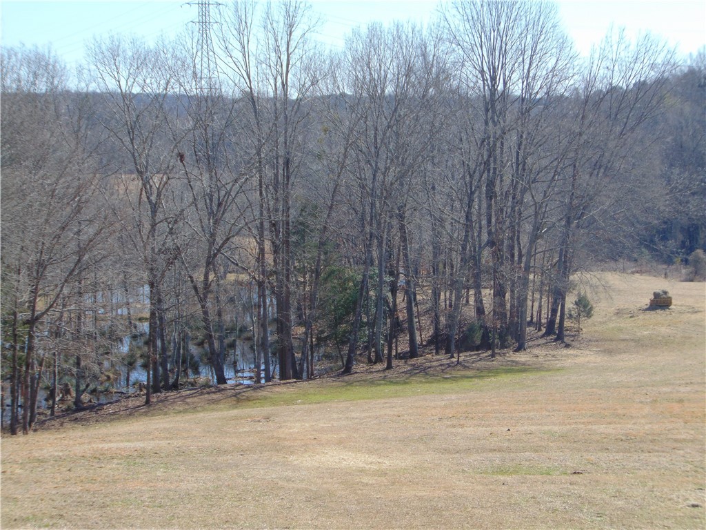 2240 6 And 20 Road Pendleton, SC 29670 - Photo 26 of 50 Gallery Image 26