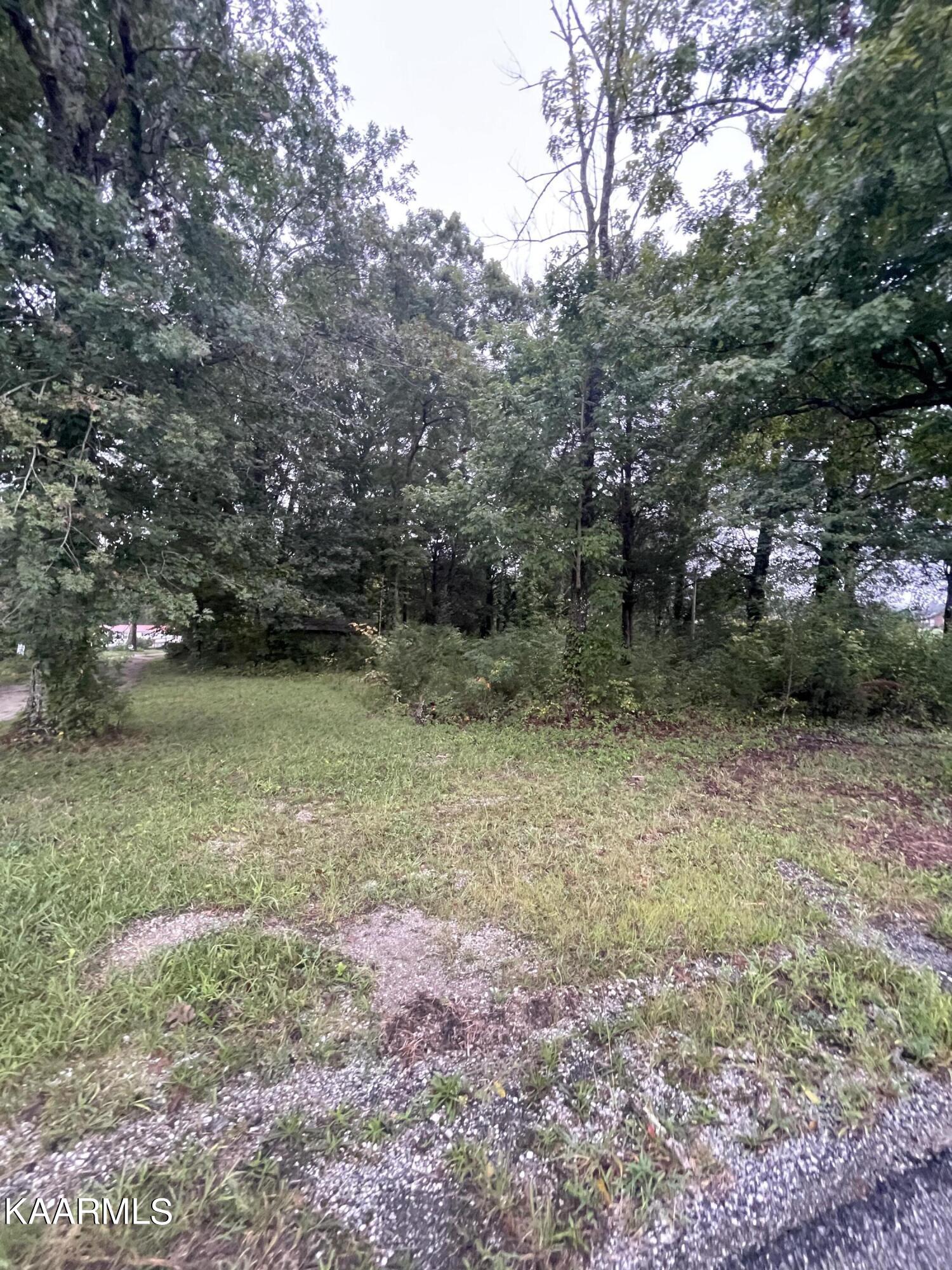 Lawnville Road Kingston, TN 37763 - Photo 4 of 9 5F829CA6-0CB2-4A7B-BB2B-136674D50AC8