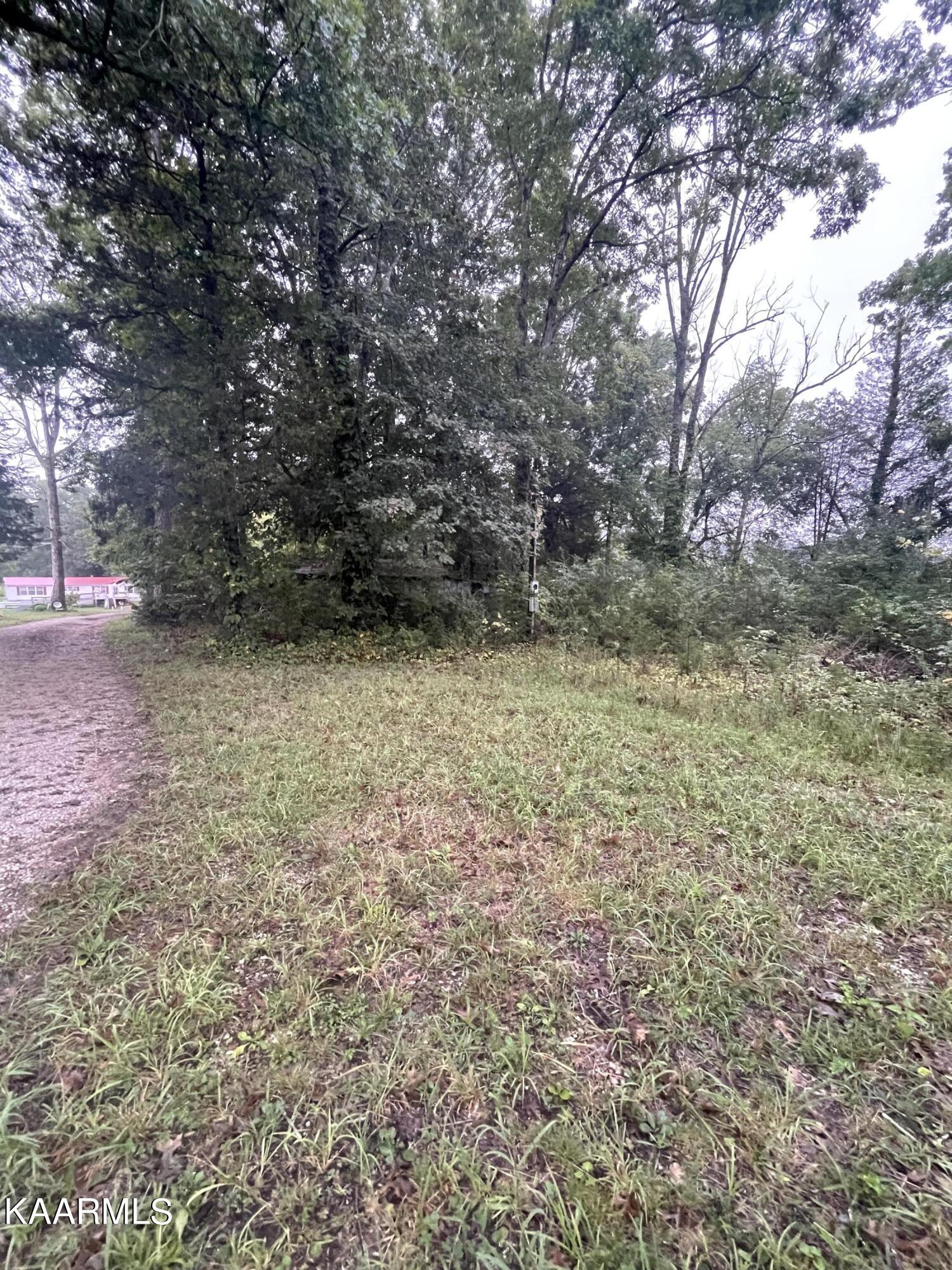 Lawnville Road Kingston, TN 37763 - Photo 8 of 9 EE0A592B-33AB-4608-884B-94DBA8AB6039