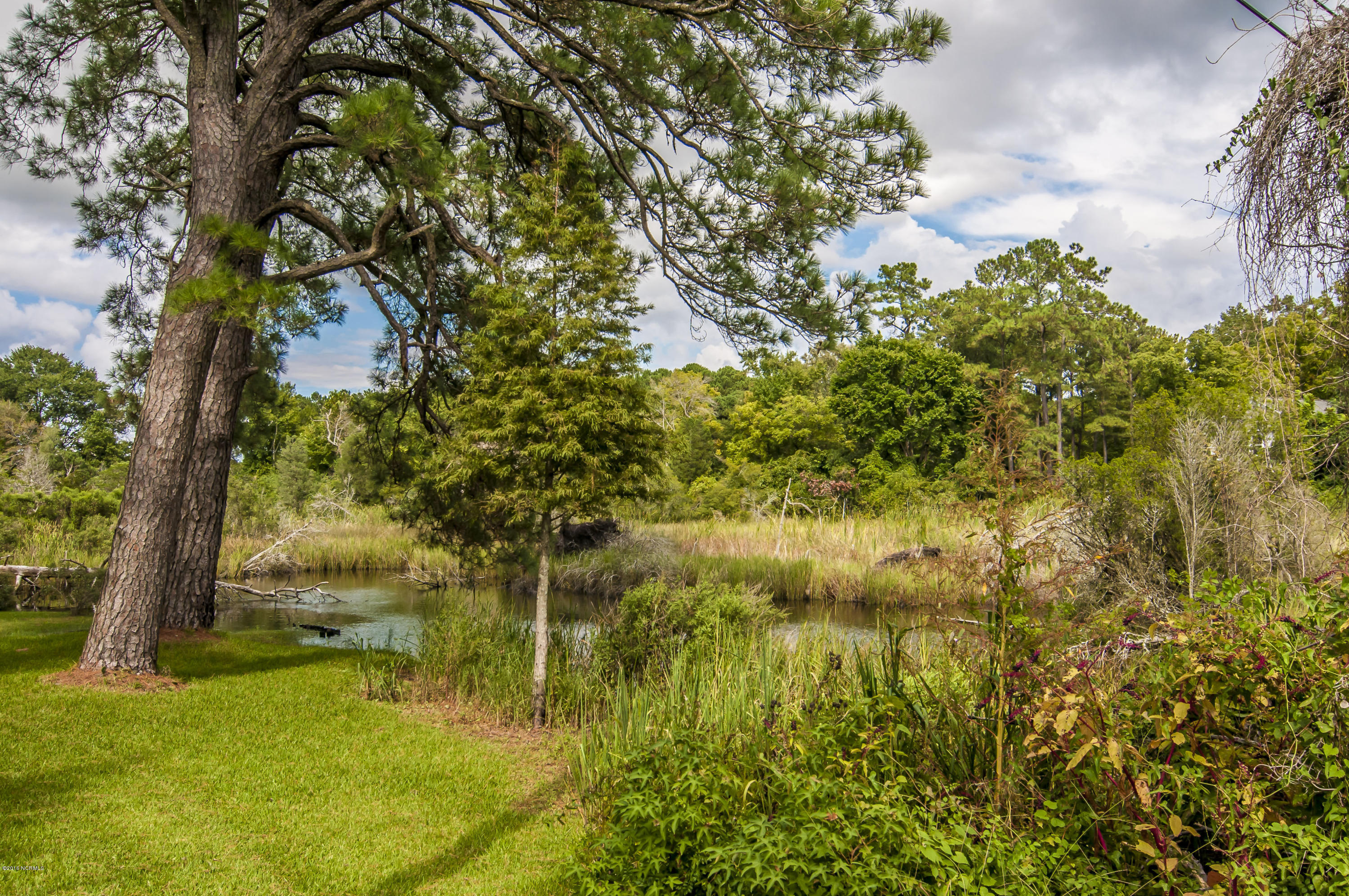 1478 Bayview Road Bath, NC 27808 - Photo 15 of 74 BayviewRdStills0000900001
