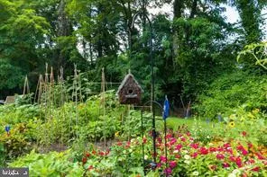 a backyard of a house with lots of green space and plants