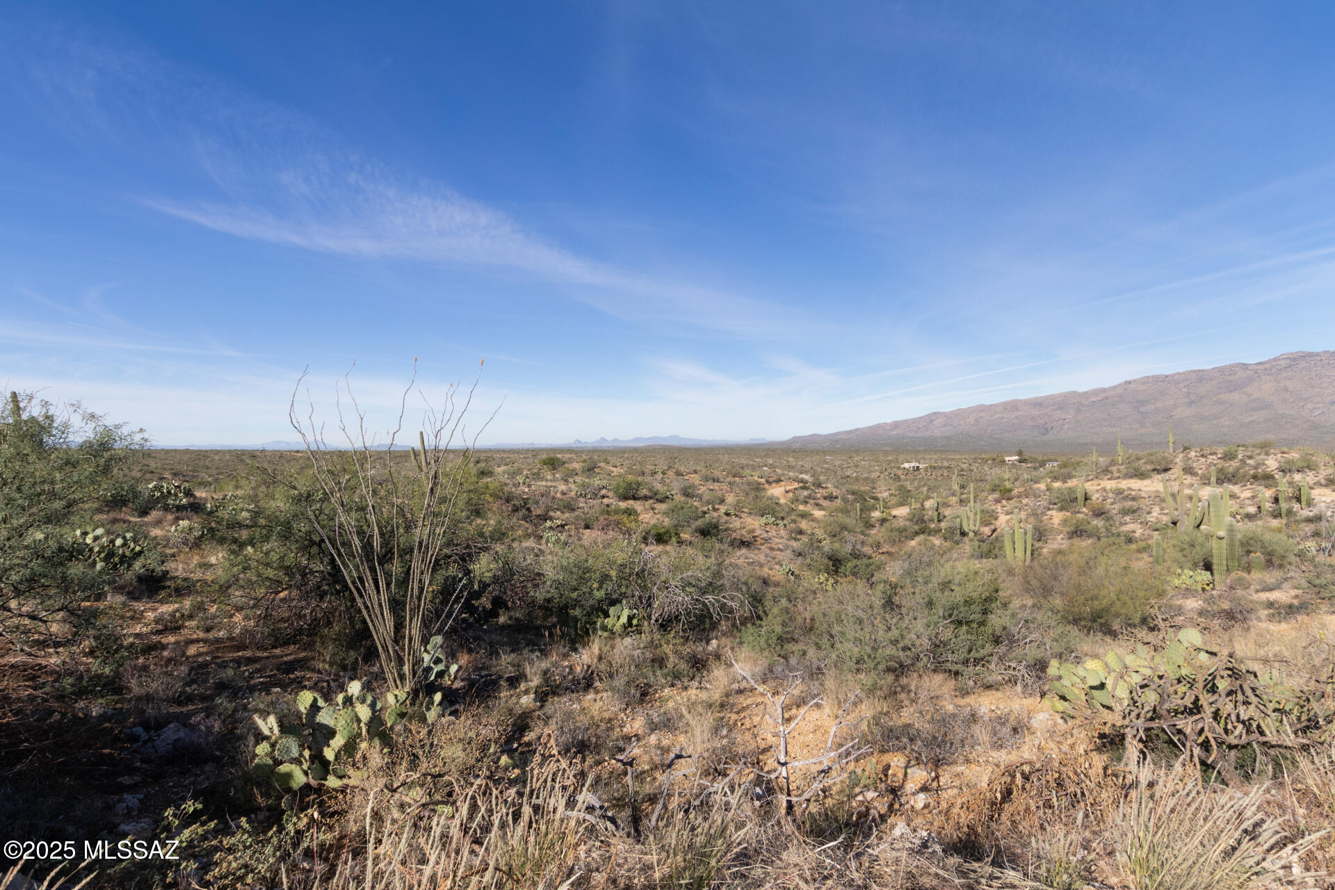 8491 South Pistol Hill Road Vail, AZ 85641 - Photo 45 of 50 peaceful desert surroundings!