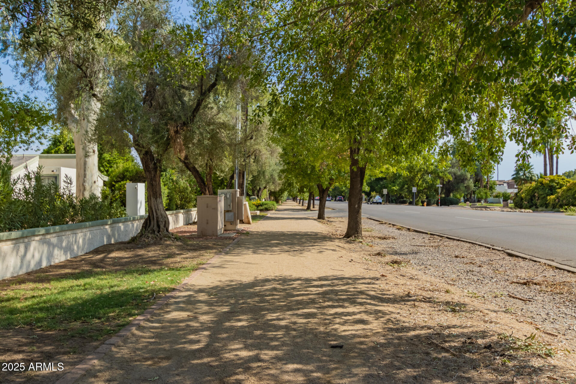 8135 North Central Avenue, Unit 7 Phoenix, AZ 85020 - Photo 25 of 25 a view of a yard with plants and trees