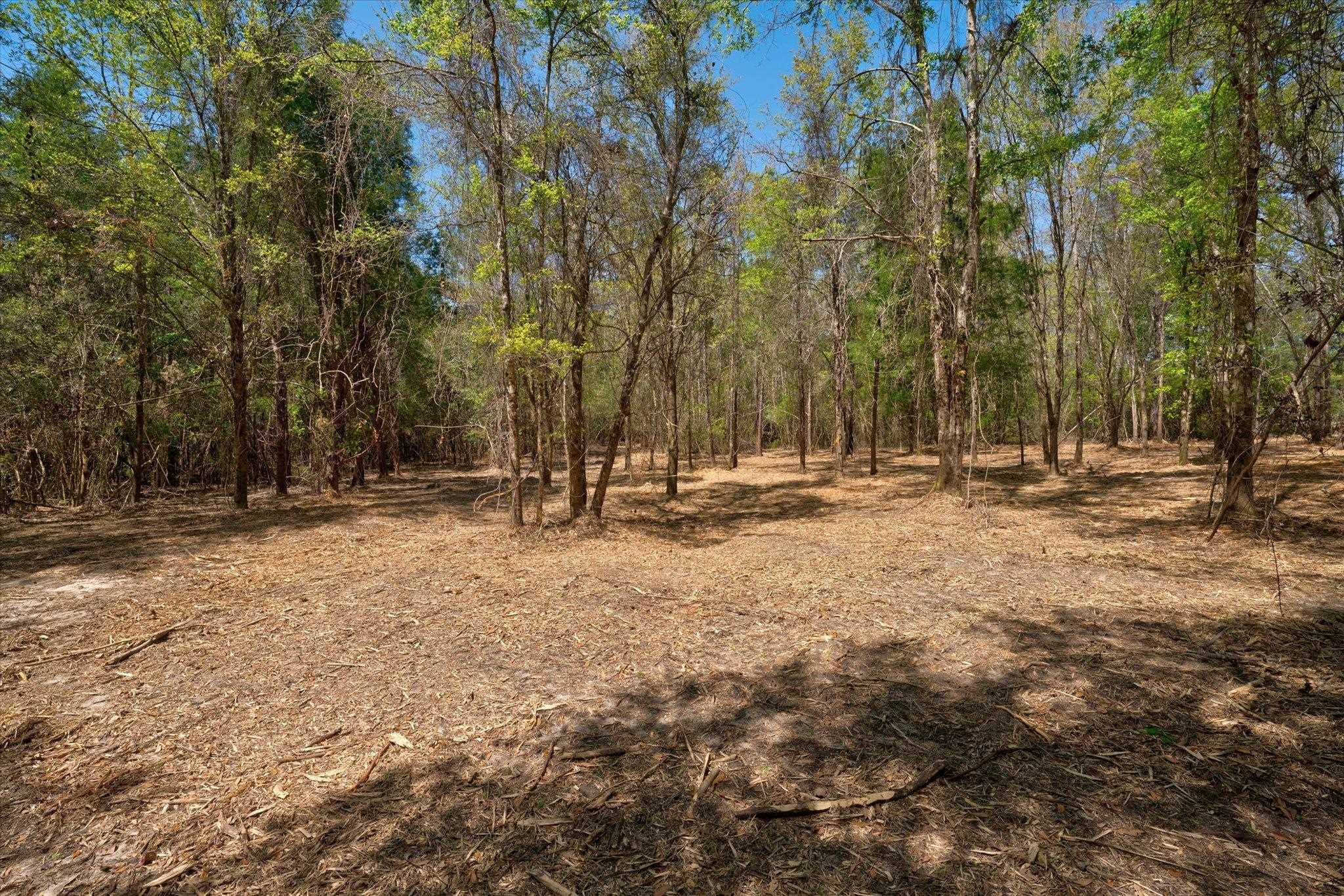 44772 Phillipsville Road Bay Minette, AL 36507 - Photo 2 of 15