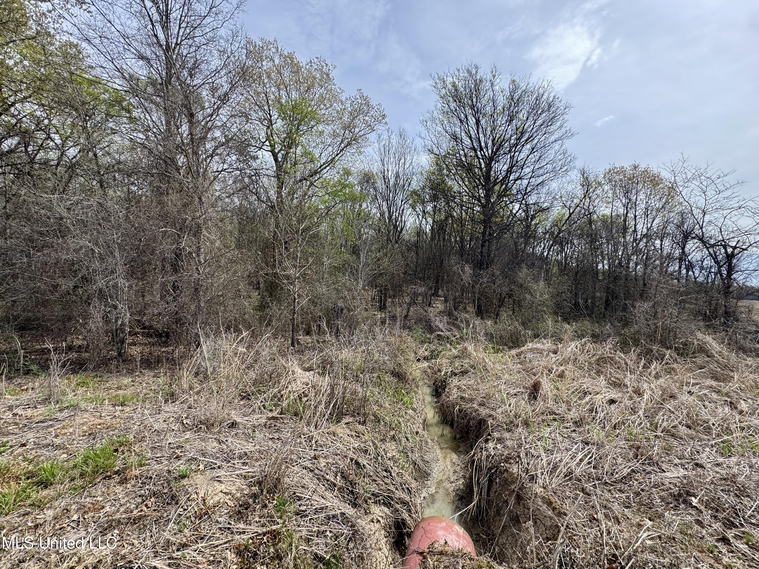 Turner Road Cleveland, MS 38732 - Photo 11 of 20 IMG_1981