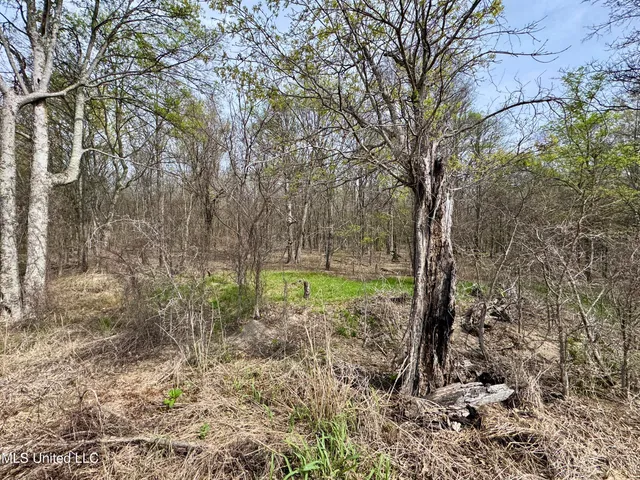 $79,000 | Turner Road, Cleveland, MS 38732