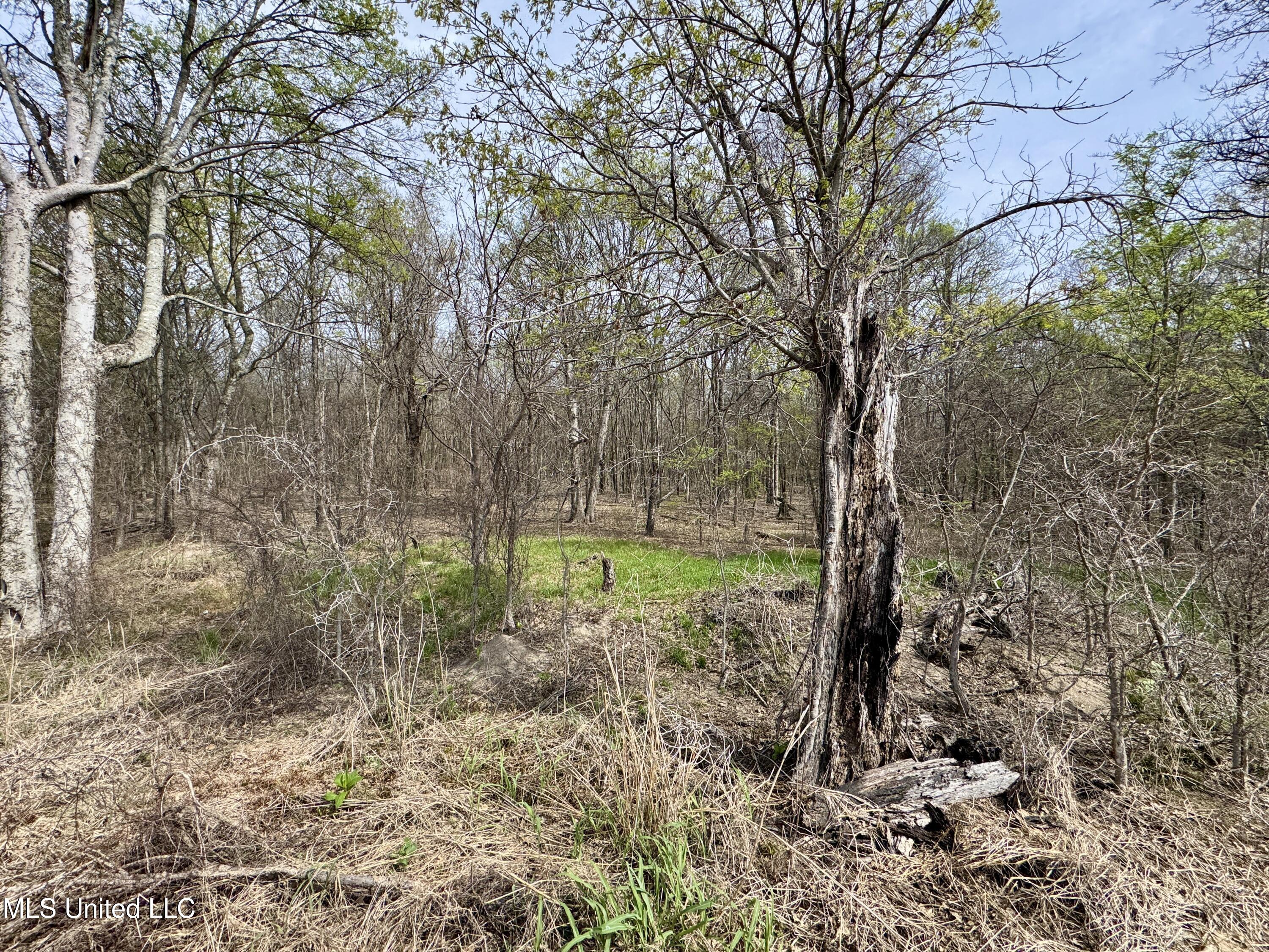 Turner Road Cleveland, MS 38732 - Photo 13 of 20 IMG_1983