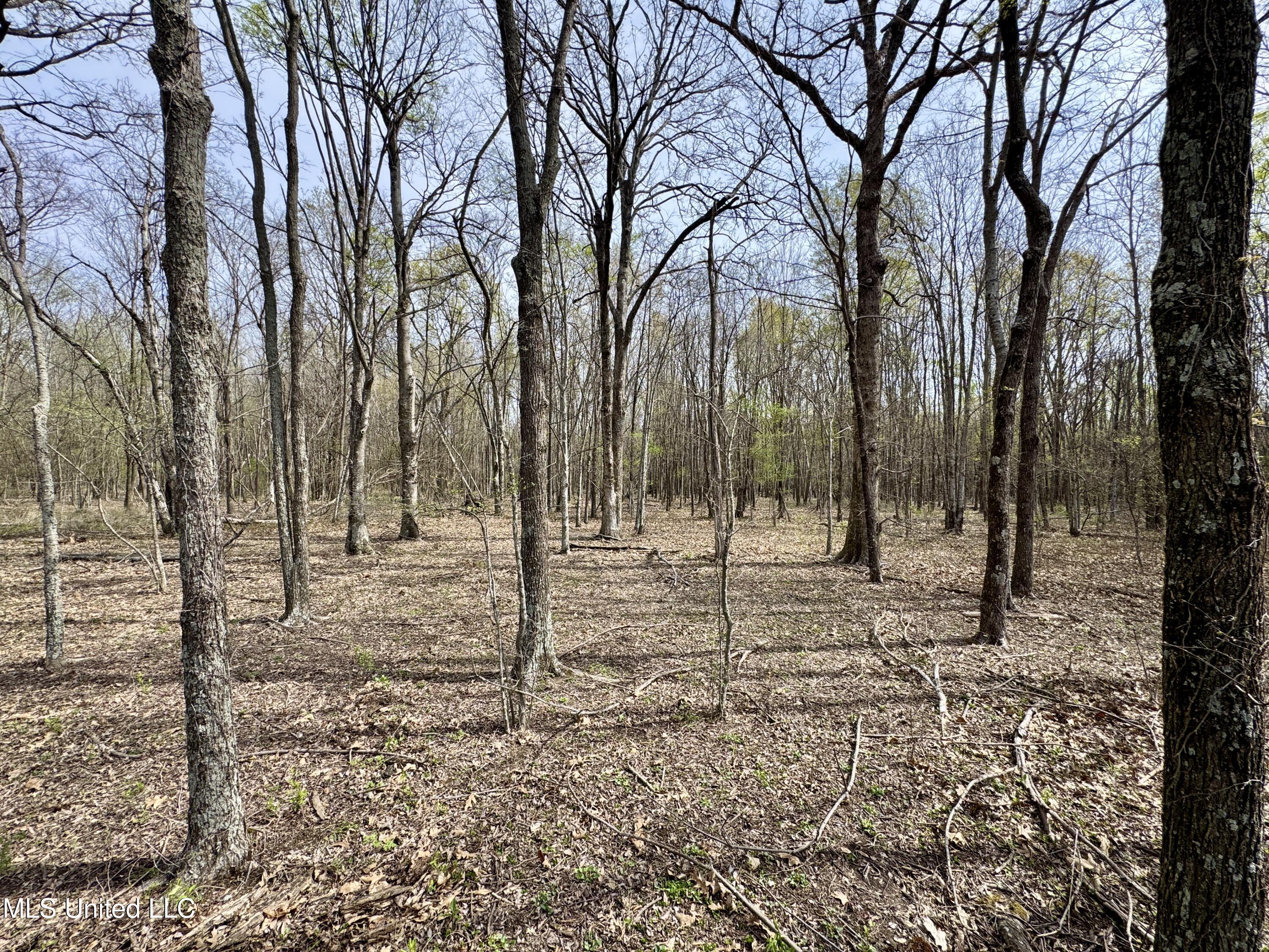 Turner Road Cleveland, MS 38732 - Photo 14 of 20 IMG_1984