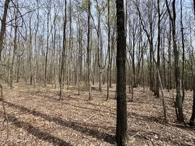 $79,000 | Turner Road, Cleveland, MS 38732