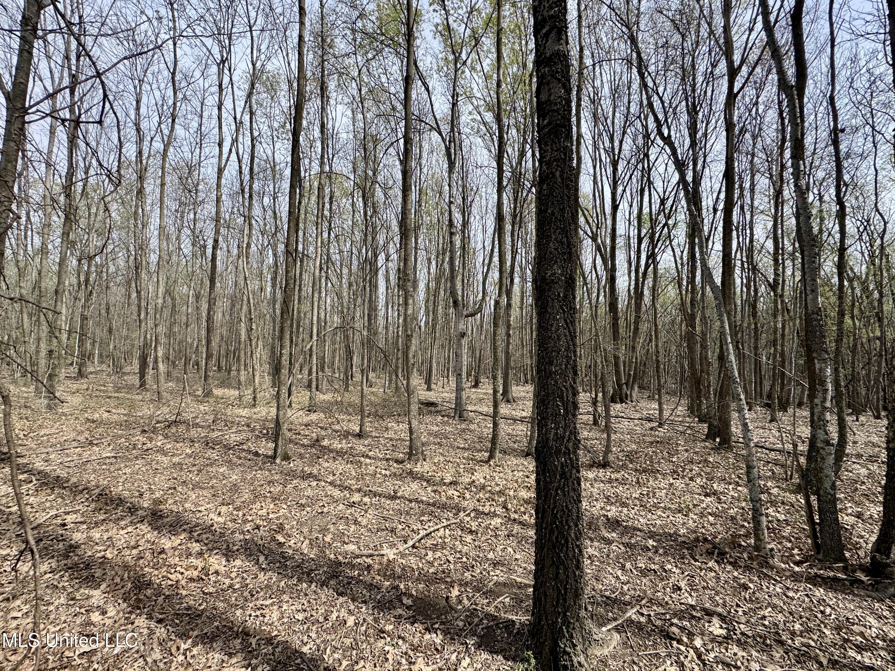 Turner Road Cleveland, MS 38732 - Photo 15 of 20 IMG_1985