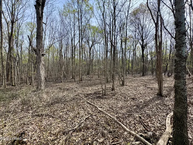 $79,000 | Turner Road, Cleveland, MS 38732