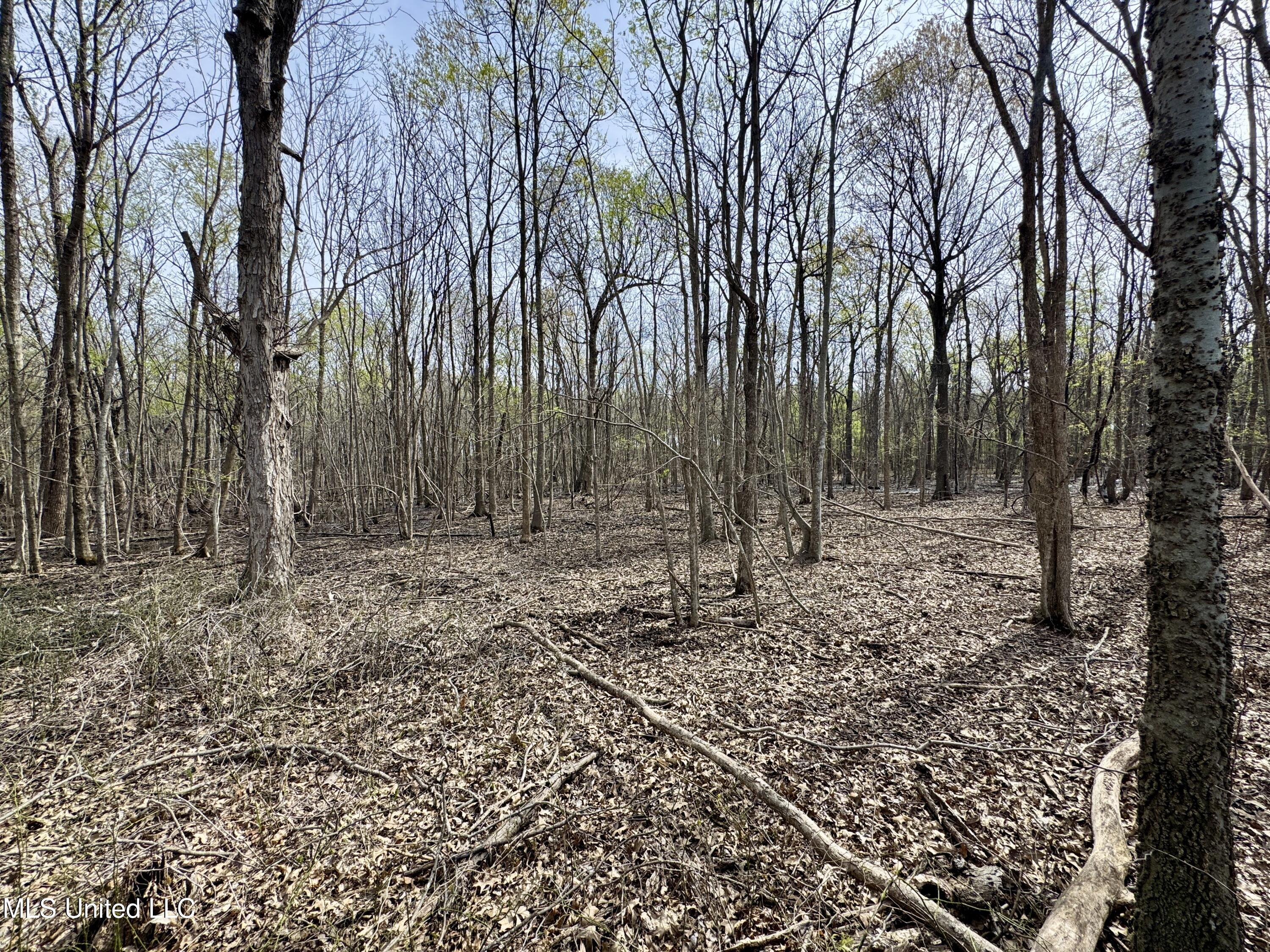 Turner Road Cleveland, MS 38732 - Photo 16 of 20 IMG_1986
