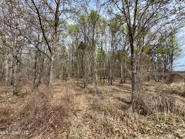 $79,000 | Turner Road, Cleveland, MS 38732