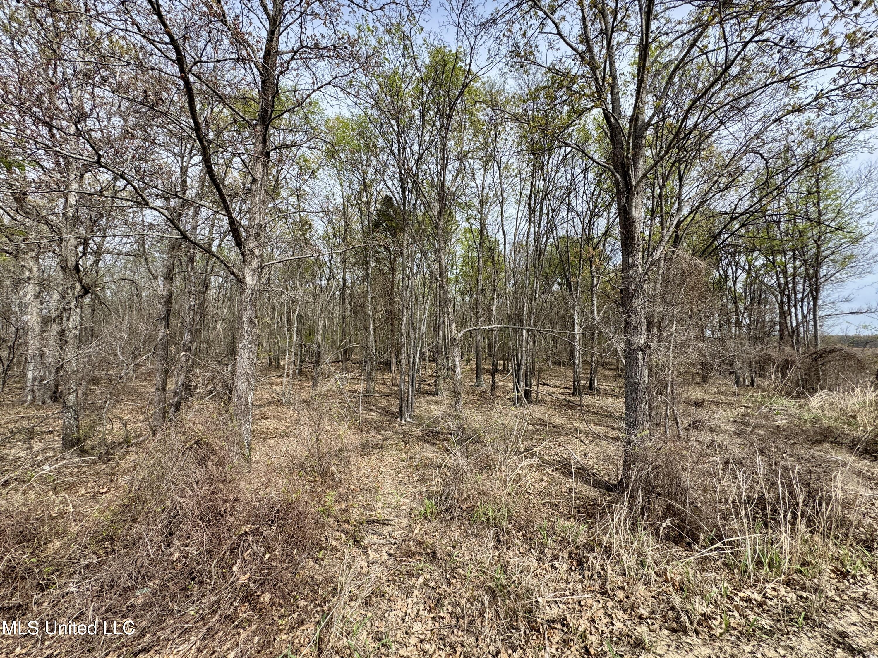 Turner Road Cleveland, MS 38732 - Photo 18 of 20 IMG_1990