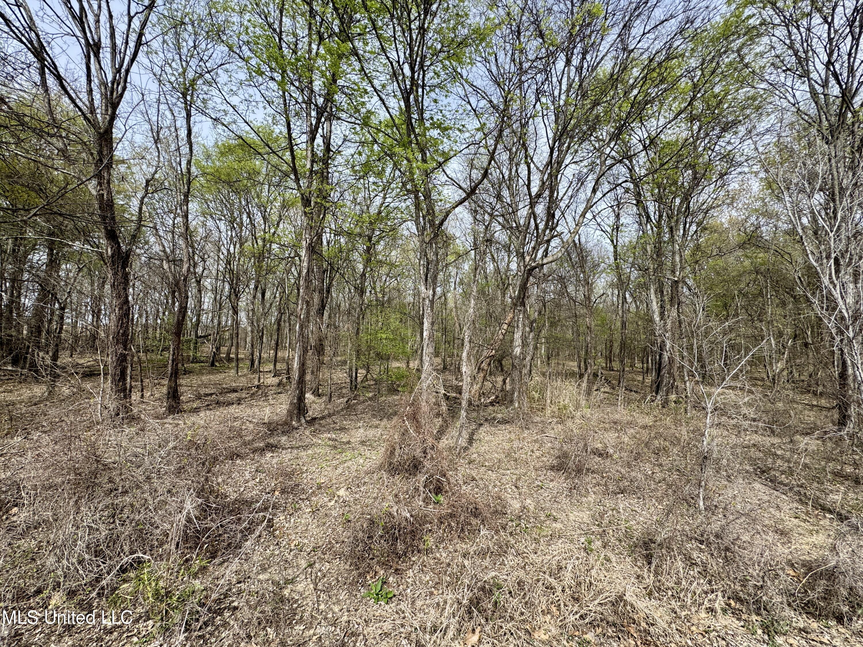 Turner Road Cleveland, MS 38732 - Photo 19 of 20 IMG_1991