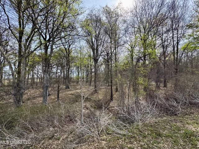 $79,000 | Turner Road, Cleveland, MS 38732