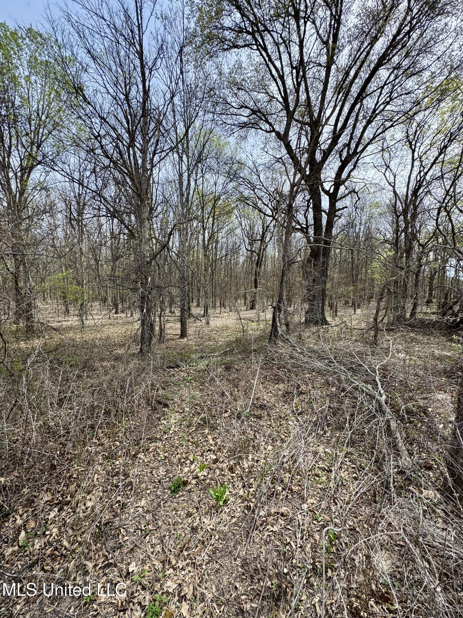 Turner Road Cleveland, MS 38732 - Photo 6 of 20 IMG_1976