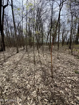 $79,000 | Turner Road, Cleveland, MS 38732