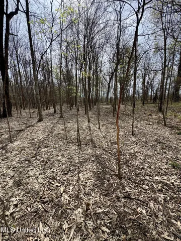 $79,000 | Turner Road, Cleveland, MS 38732