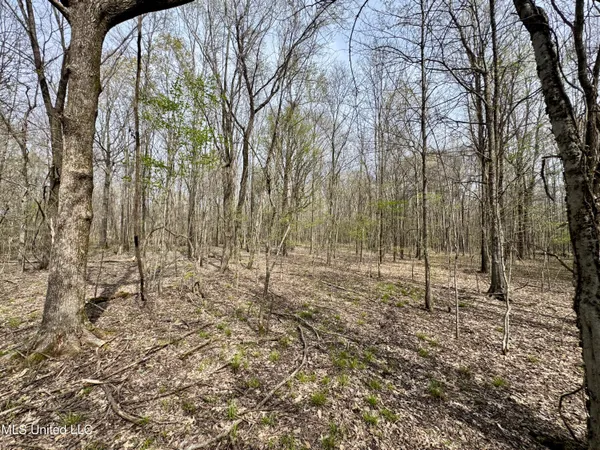 $79,000 | Turner Road, Cleveland, MS 38732