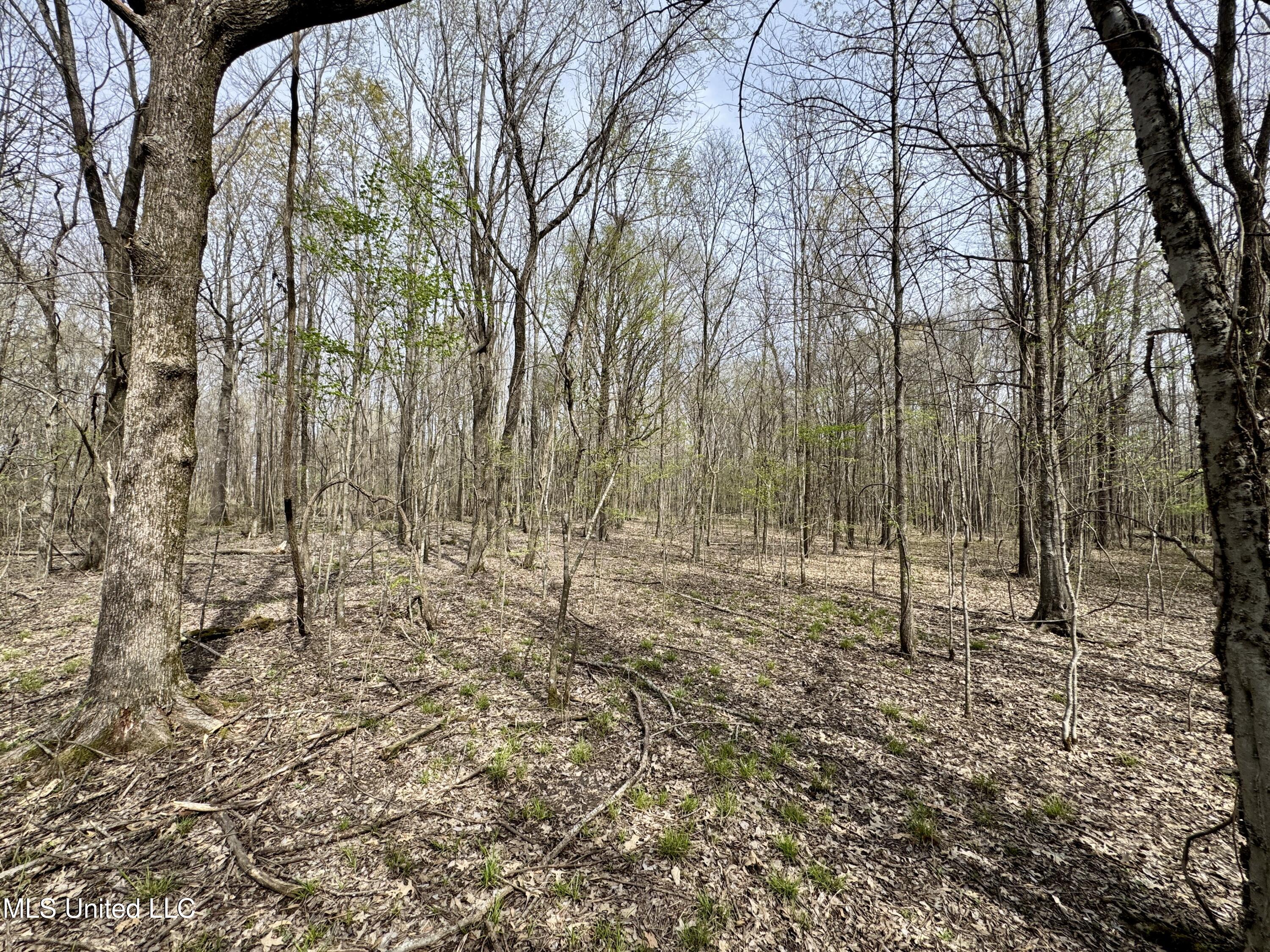 Turner Road Cleveland, MS 38732 - Photo 10 of 20 IMG_1980