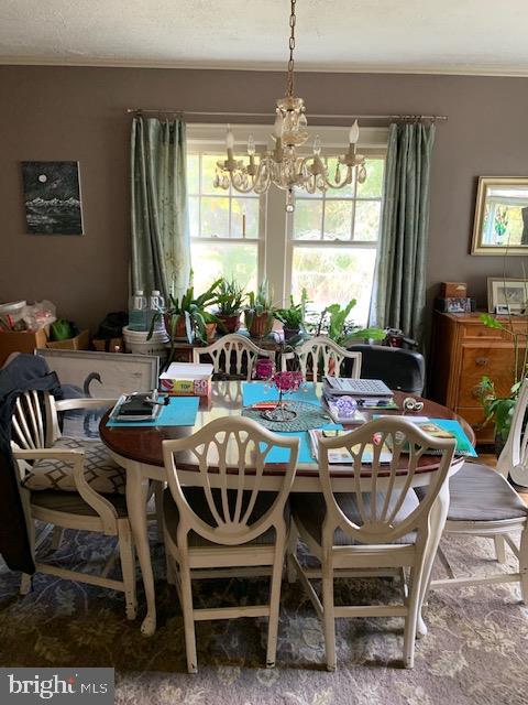 185 Silver Lake Road Bridgeton, NJ 08302 - Photo 8 of 11 Gallery Image 8