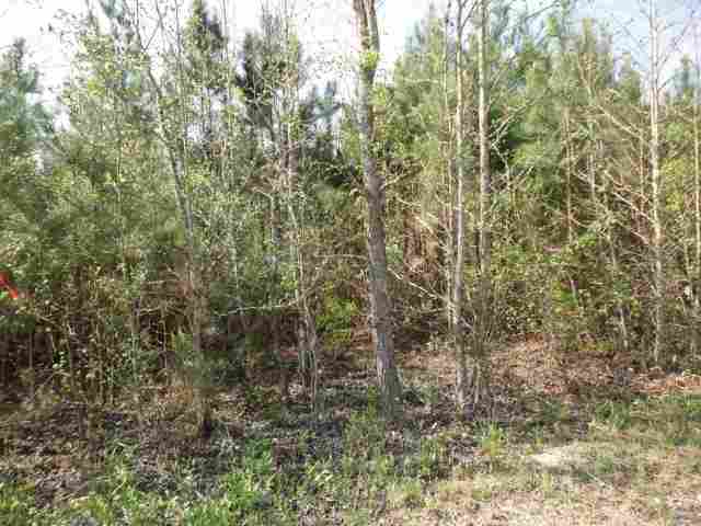 450 Trail Road, Unit TRACT 2 15 0 ACRES Belton, SC 29627 - Photo 3 of 4 Gallery Image 3
