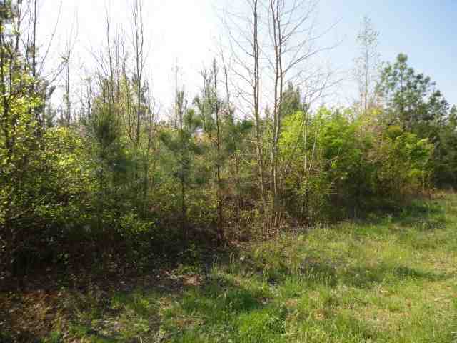 450 Trail Road, Unit TRACT 2 15 0 ACRES Belton, SC 29627 - Photo 4 of 4 Gallery Image 4