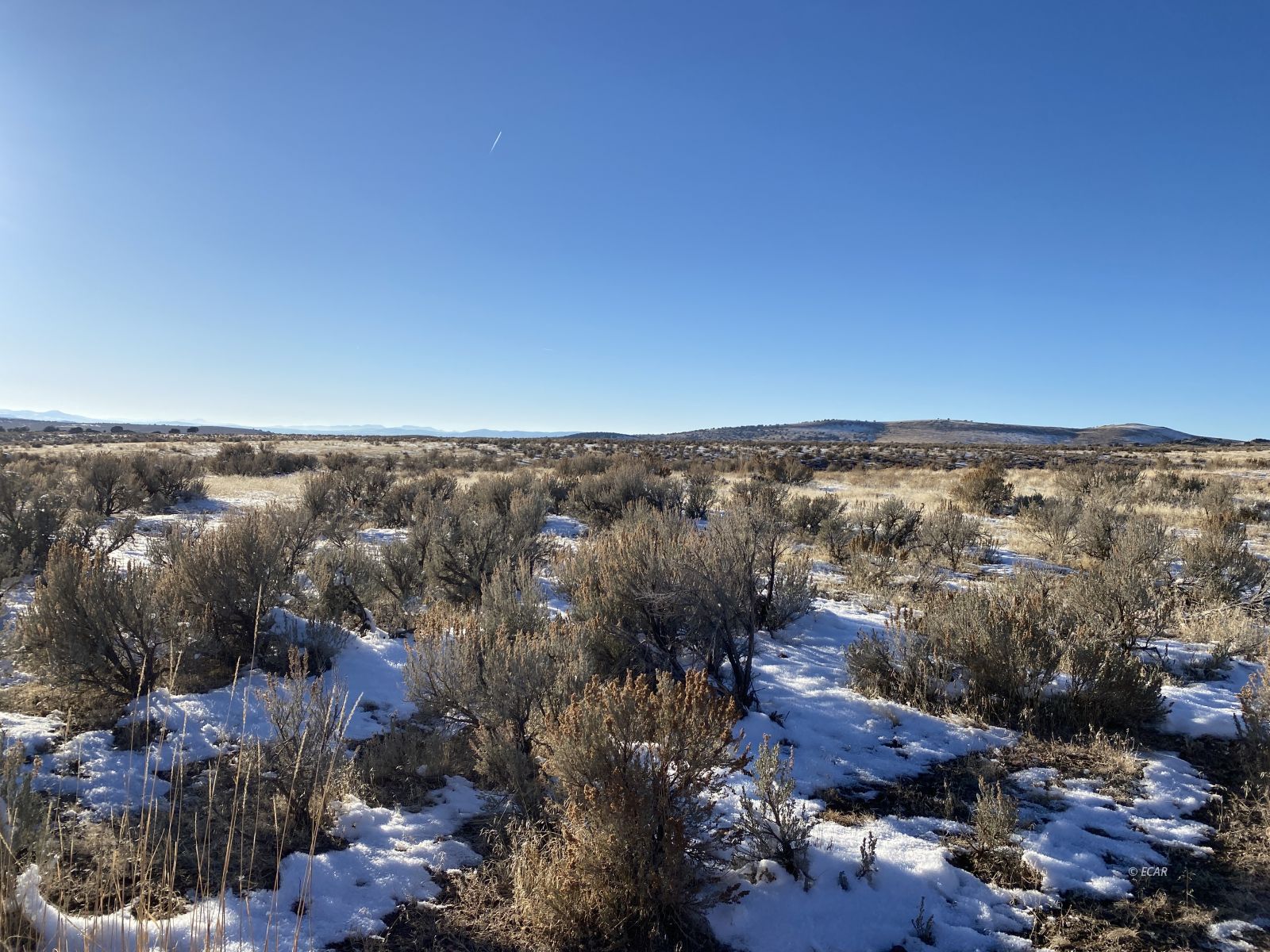 Ruby Avenue Spring Creek, NV 89815 - Photo 3 of 8