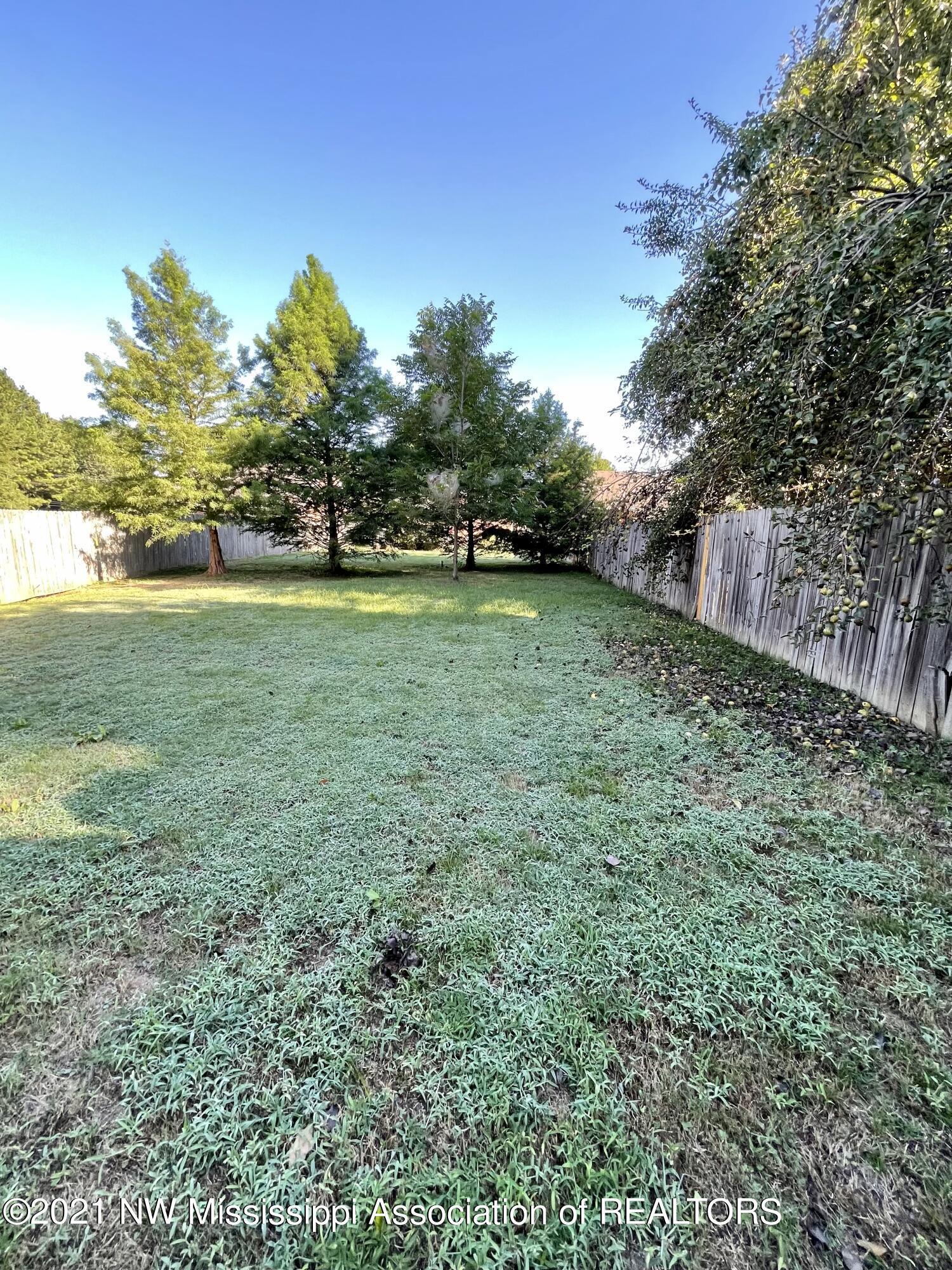 10197 Goodman Road Olive Branch, MS 38654 - Photo 12 of 13 63333695-B010-4E94-857E-9923D17546E7