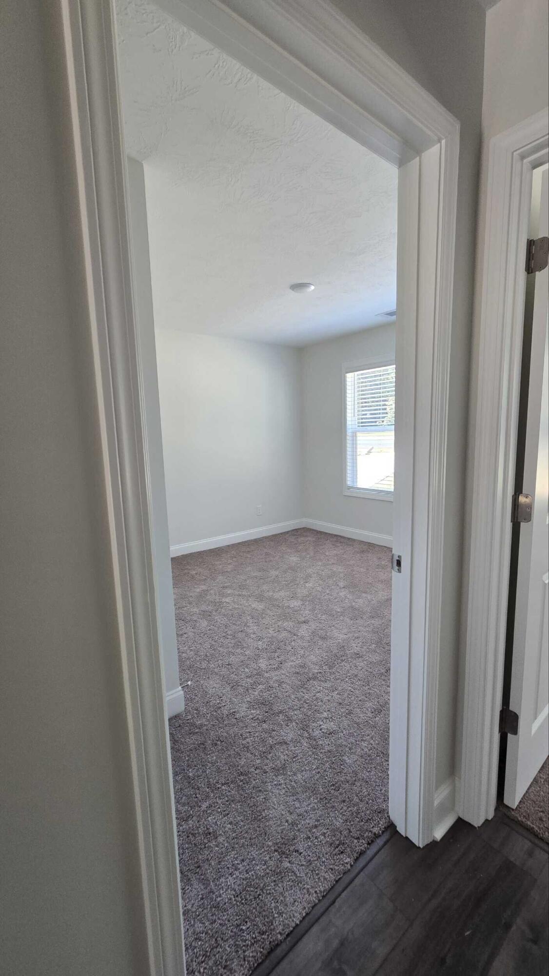 Lot 4 Storm Branch Road Beech Island, SC 29842 - Photo 25 of 38 20240923_132932