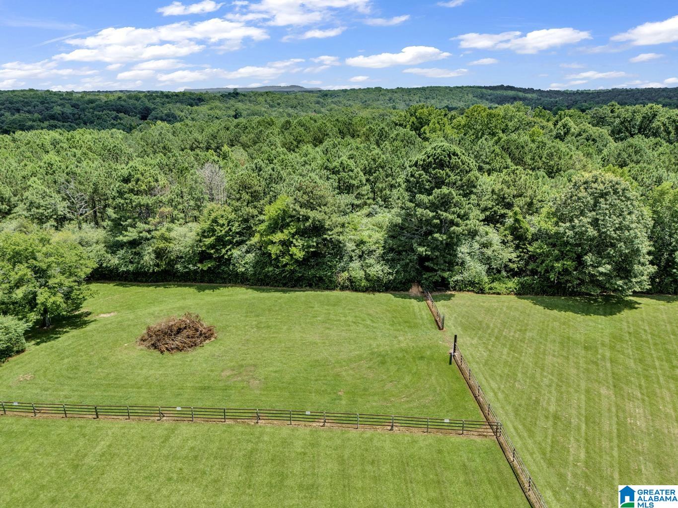 0 Mize Road, Unit 13 Remlap, AL 35133 - Photo 44 of 44