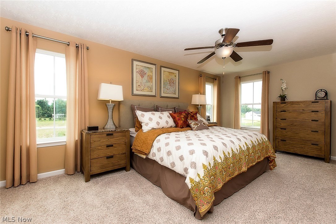 31903 Rustic Ridge North Ridgeville, OH 44039 - Photo 12 of 21 Gallery Image 12