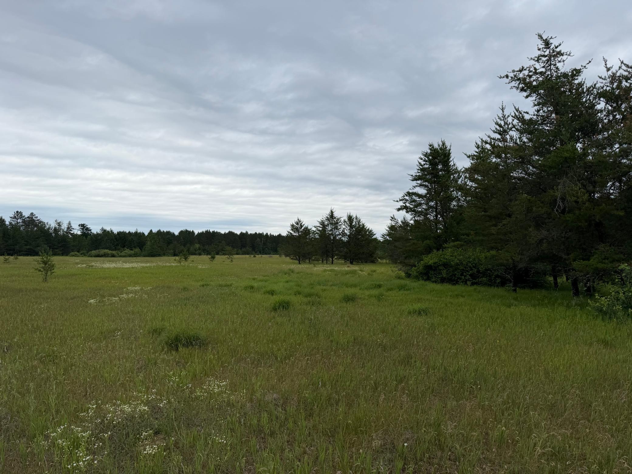 Tbd 350th Street Sebeka, MN 56477 - Photo 71 of 100