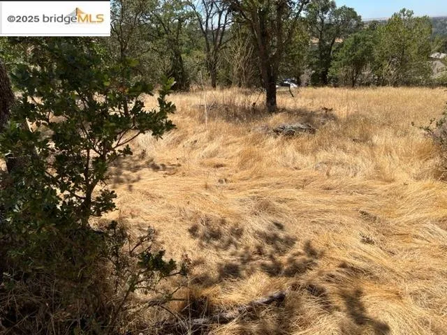 a view of side of snow with trees