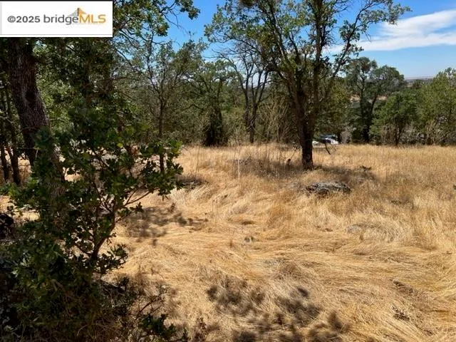 a view of a snow in a yard