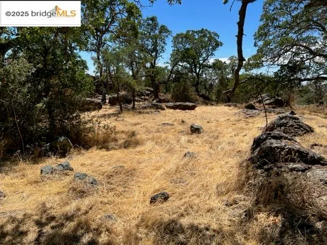 a view of a yard covered in snow