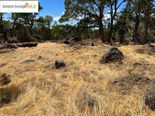 a view of a yard covered in snow