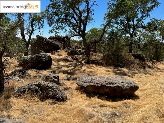 a view of water yard