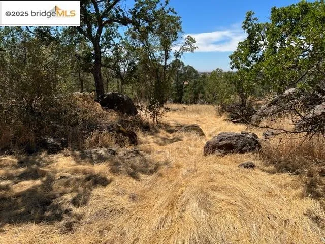 a view of a snow in the background