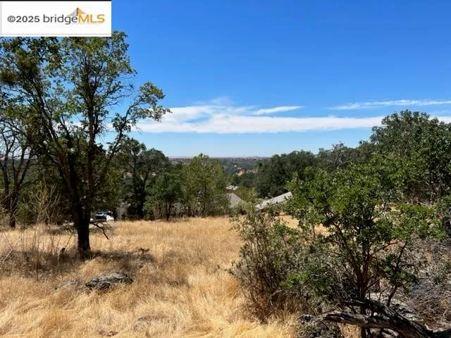 a view of outdoor space and tree