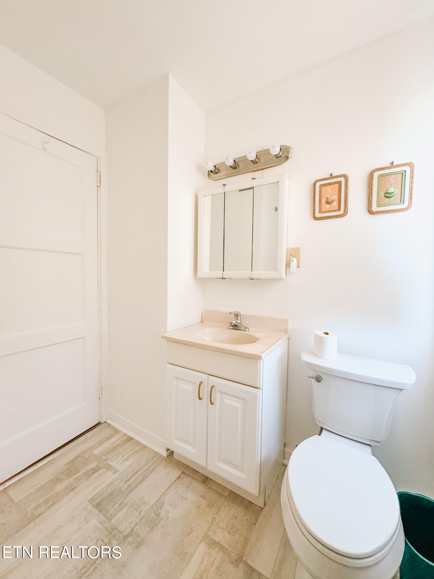120 Wabash Lane Oak Ridge, TN 37830 - Photo 22 of 31 wabash bathroom3