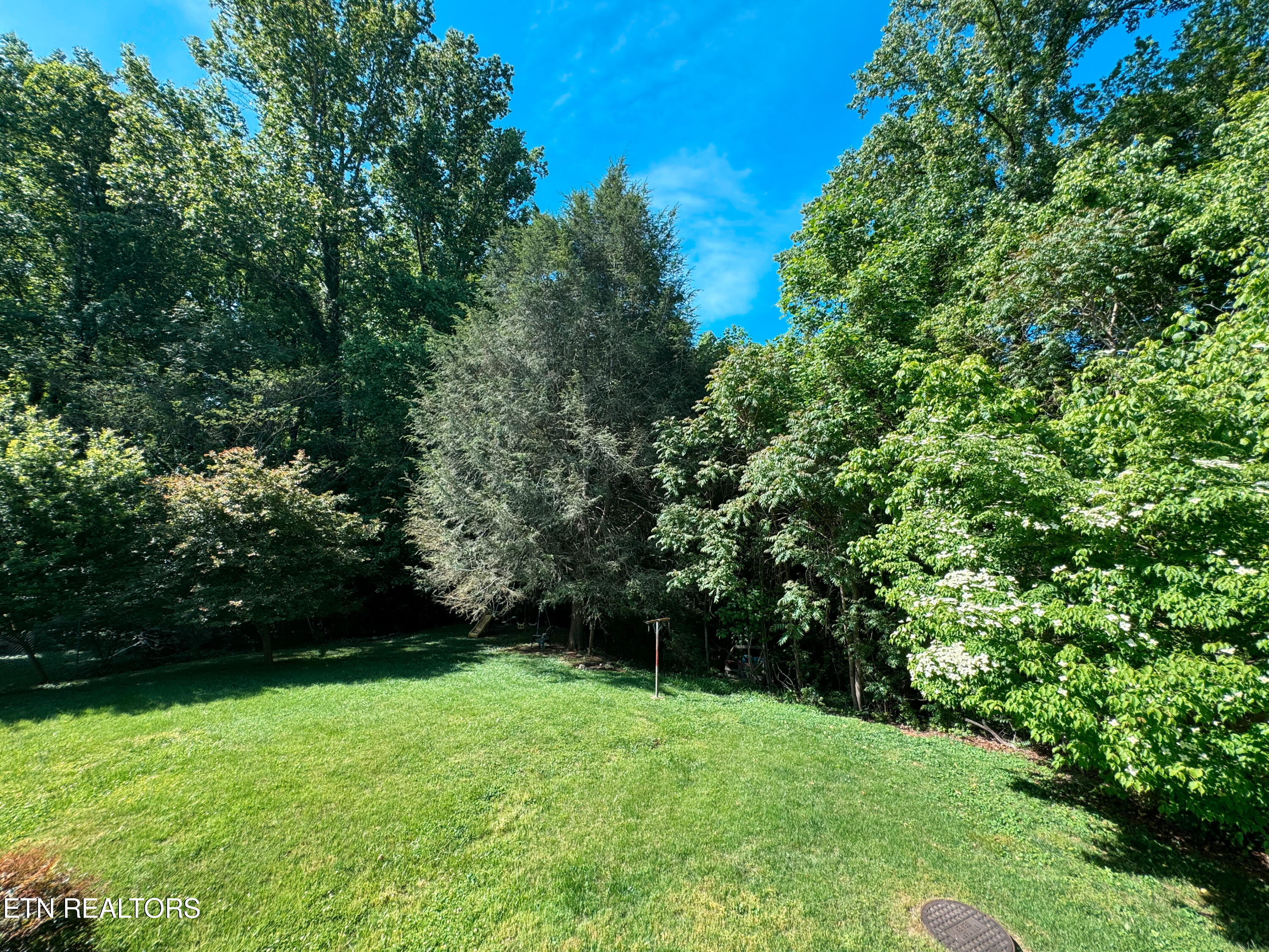 120 Wabash Lane Oak Ridge, TN 37830 - Photo 29 of 31 Wabash Backyard
