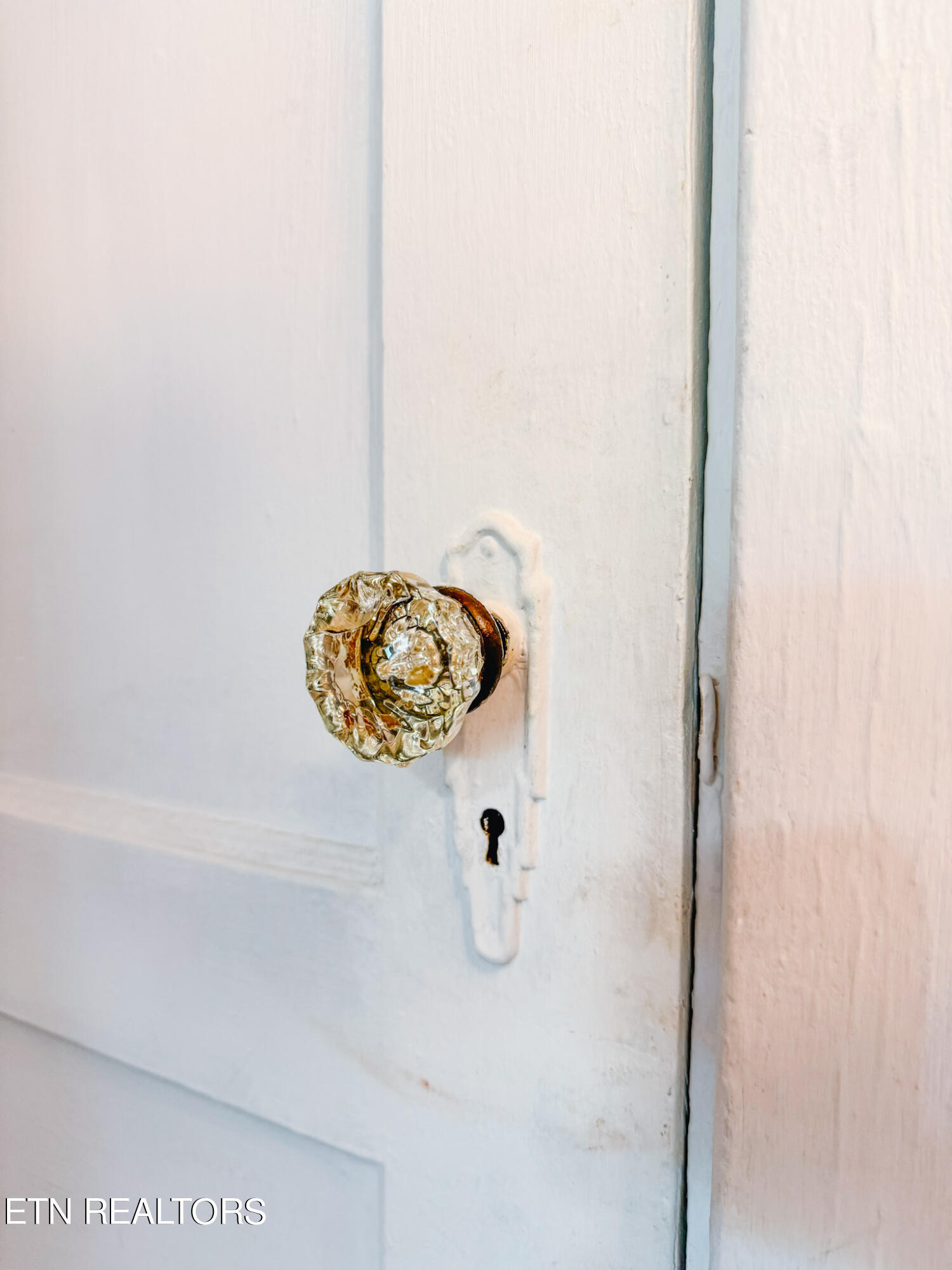120 Wabash Lane Oak Ridge, TN 37830 - Photo 8 of 31 wabash doorknob
