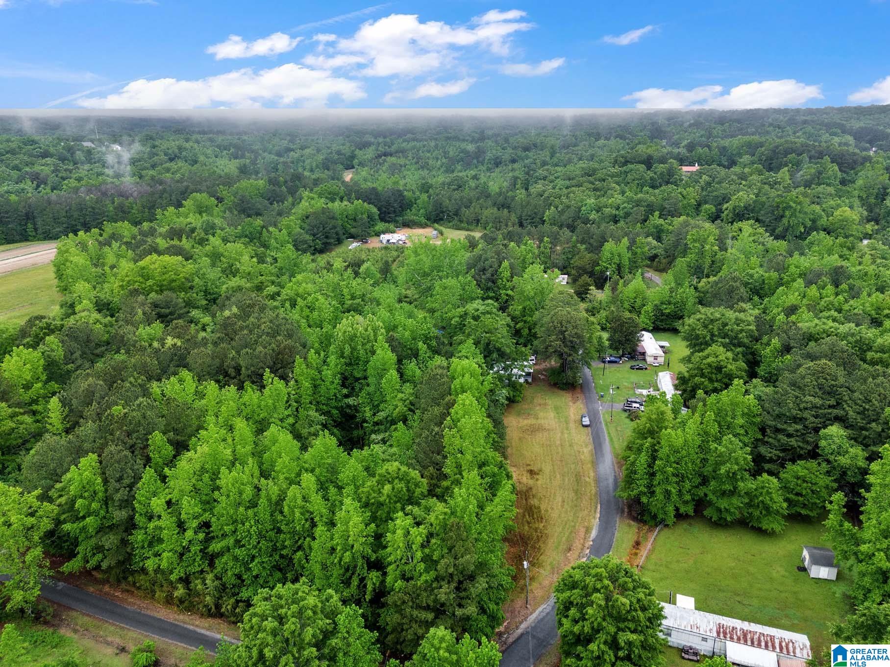 288 Plemons Road Attalla, AL 35954 - Photo 35 of 54